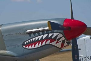 North American P-51 Mustang D G-SHWN ‘The Shark’